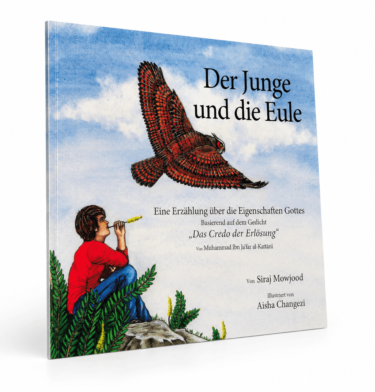 Der Junge und die Eule - Lesen ist Licht