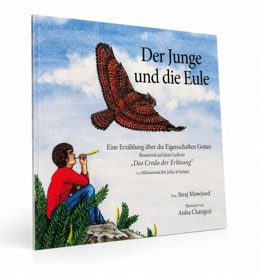 Der Junge und die Eule - Lesen ist Licht