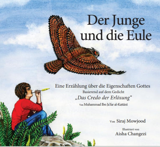 Der Junge und die Eule - Lesen ist Licht