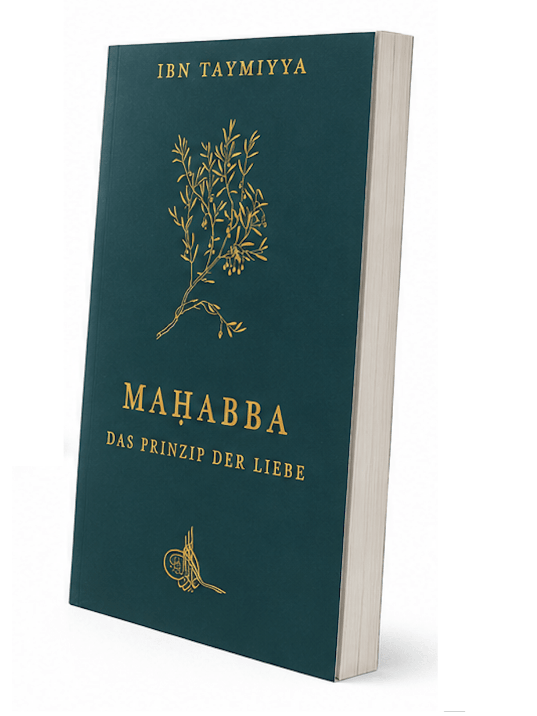 Maḥabba: Das Prinzip der Liebe - Lesen ist Licht